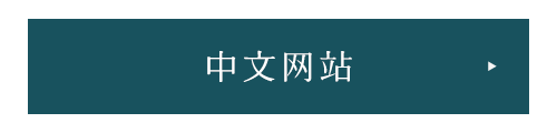 中文网站